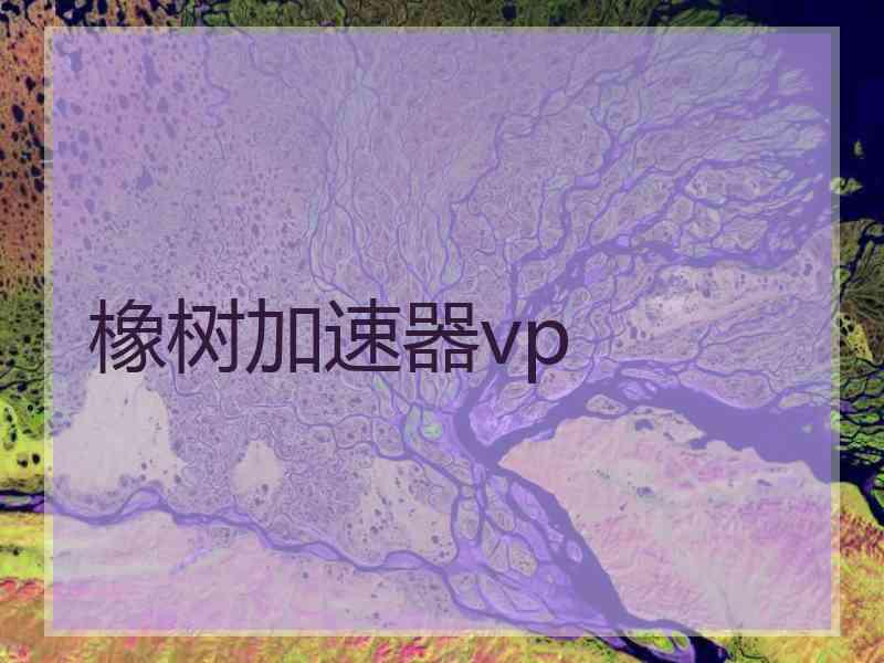 橡树加速器vp