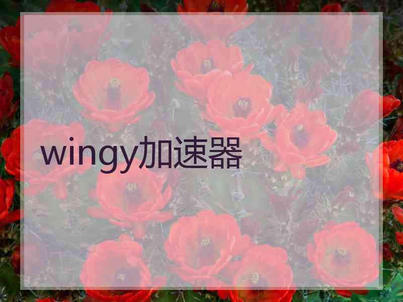 wingy加速器