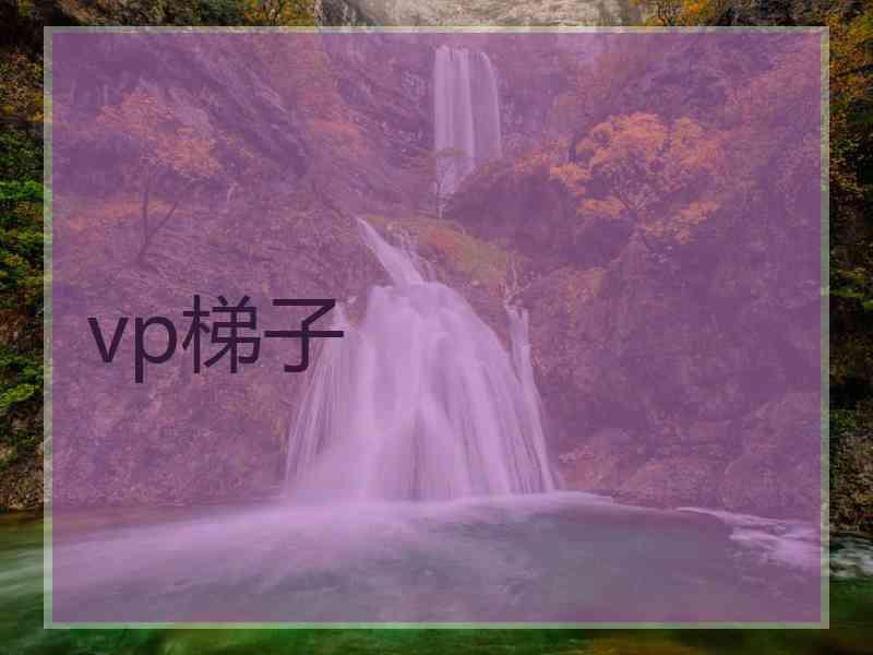 vp梯子