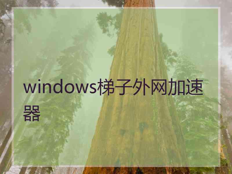 windows梯子外网加速器