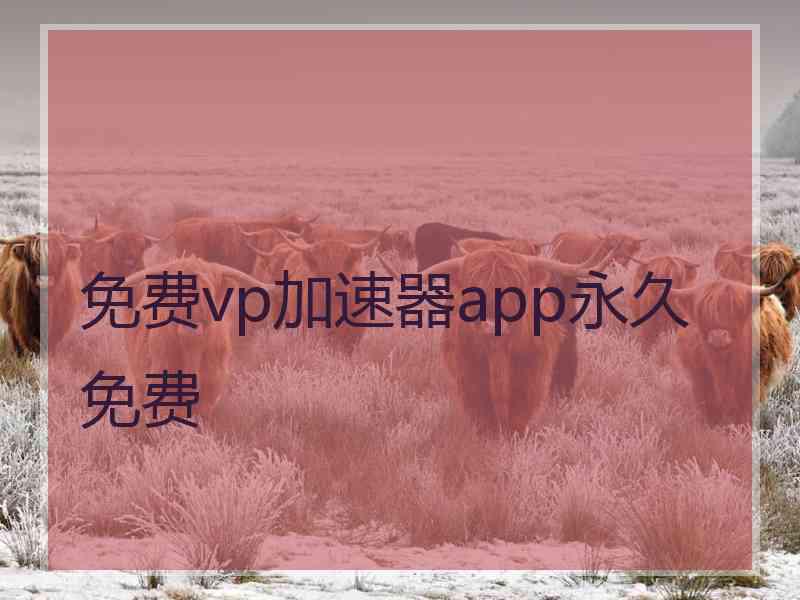 免费vp加速器app永久免费