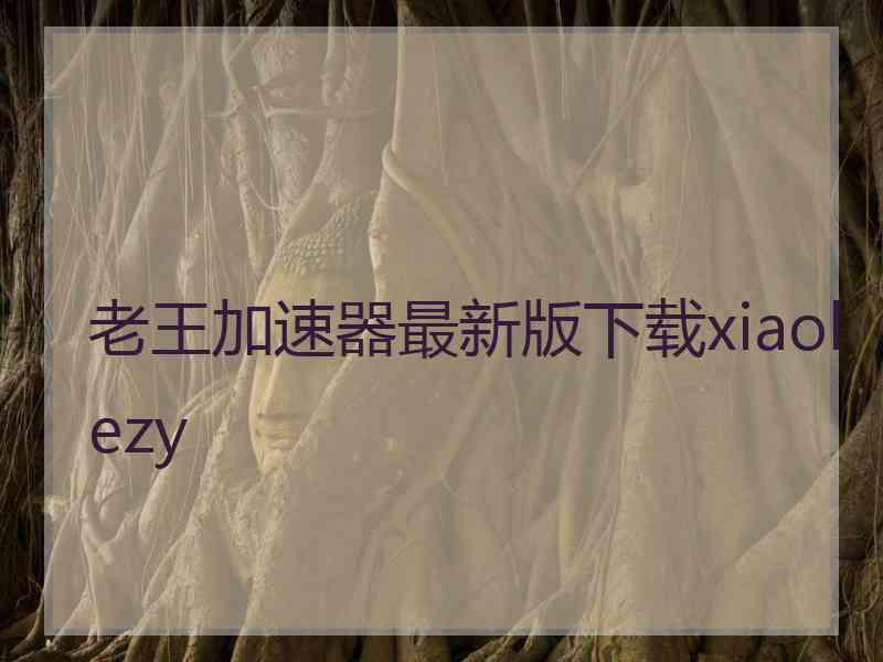 老王加速器最新版下载xiaolezy