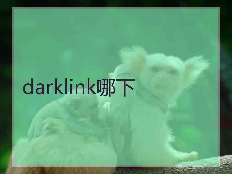 darklink哪下