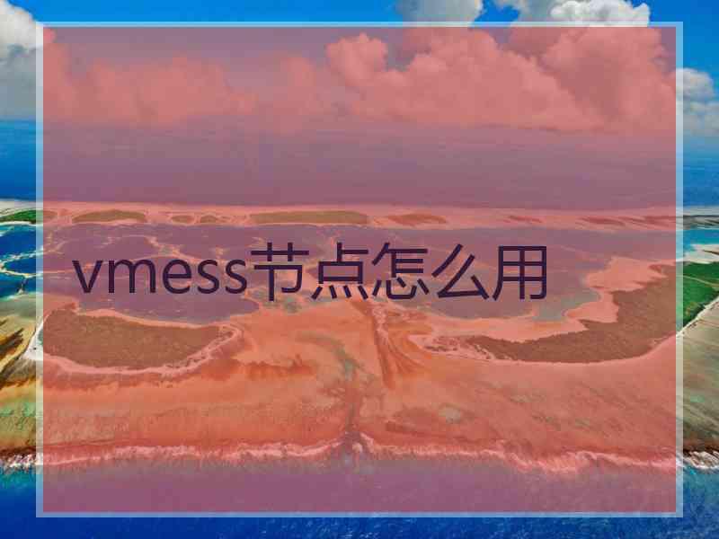 vmess节点怎么用