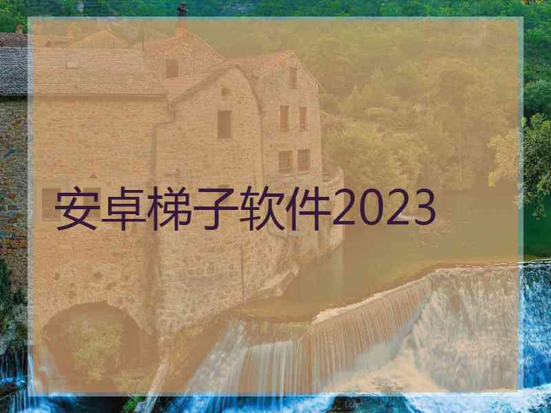 安卓梯子软件2023