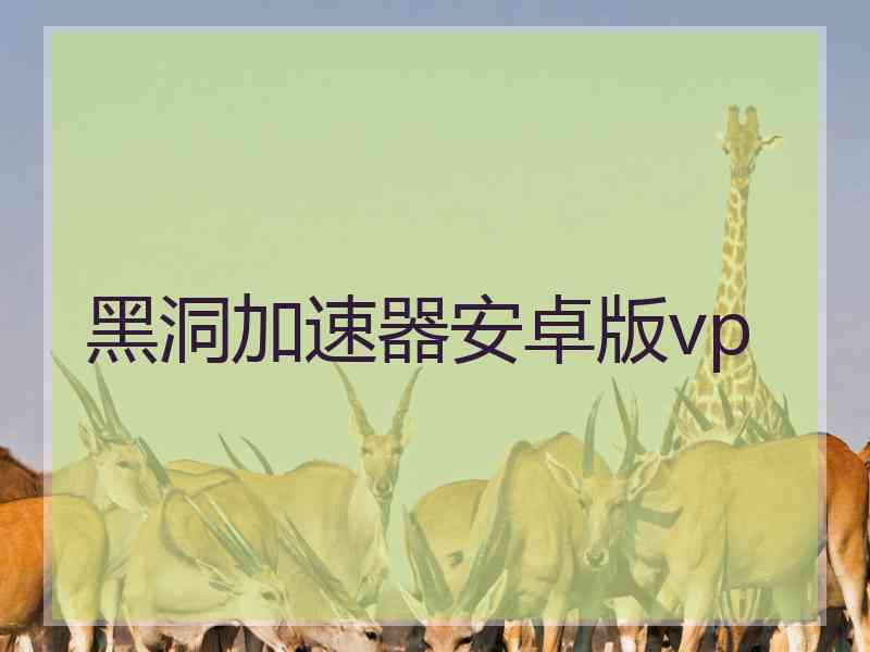 黑洞加速器安卓版vp