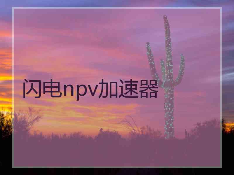 闪电npv加速器