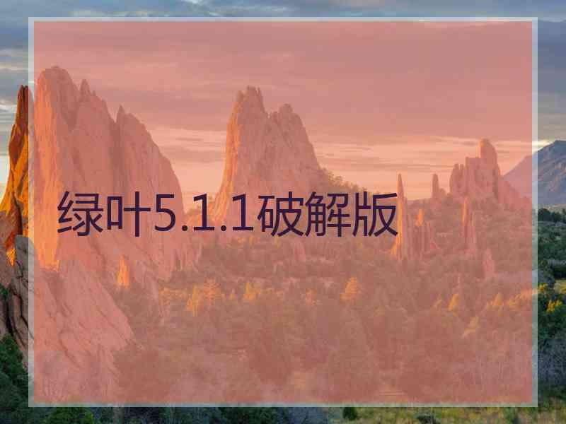 绿叶5.1.1破解版