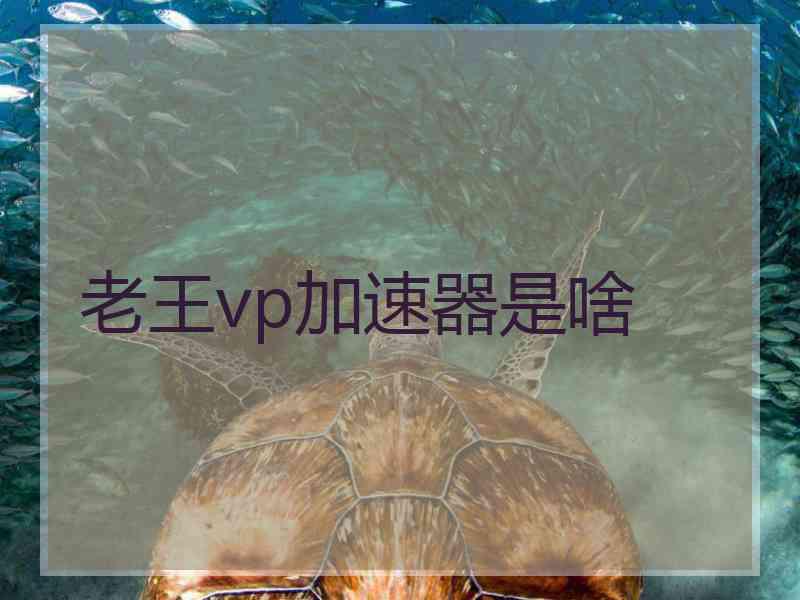 老王vp加速器是啥