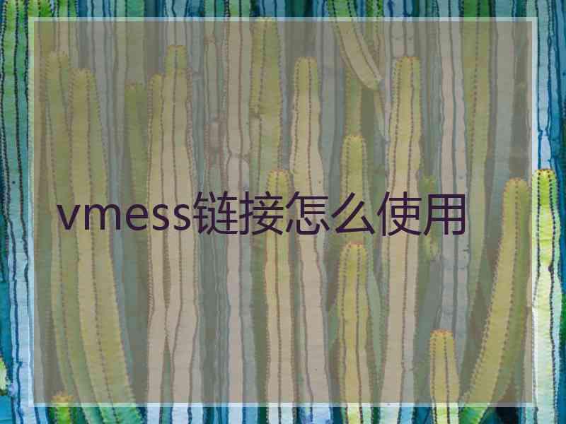 vmess链接怎么使用