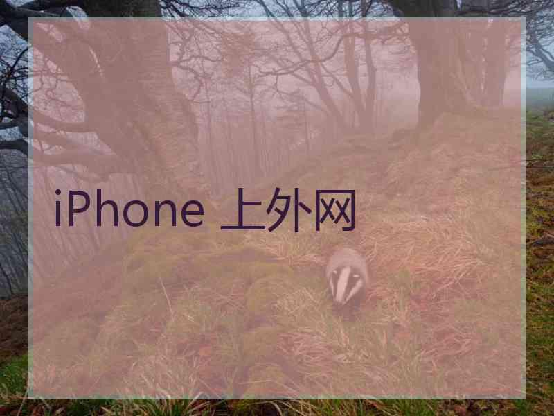 iPhone 上外网