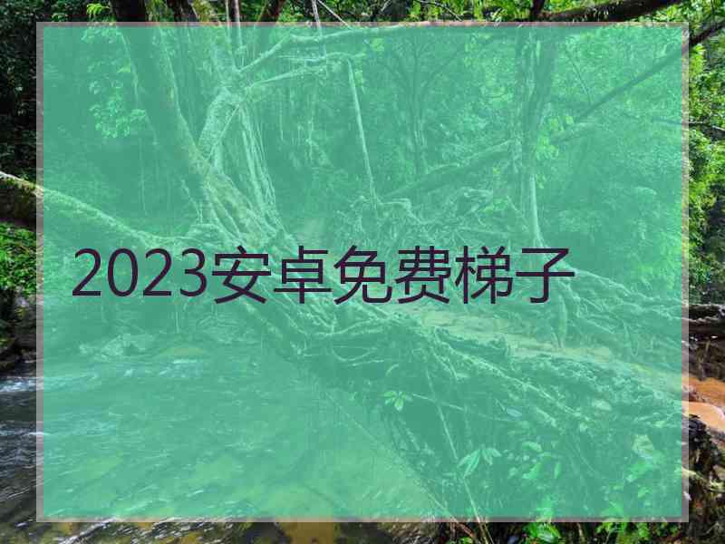 2023安卓免费梯子