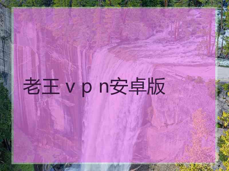 老王 v p n安卓版