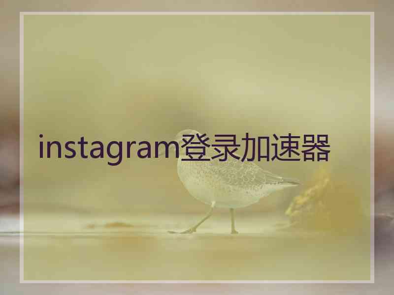 instagram登录加速器