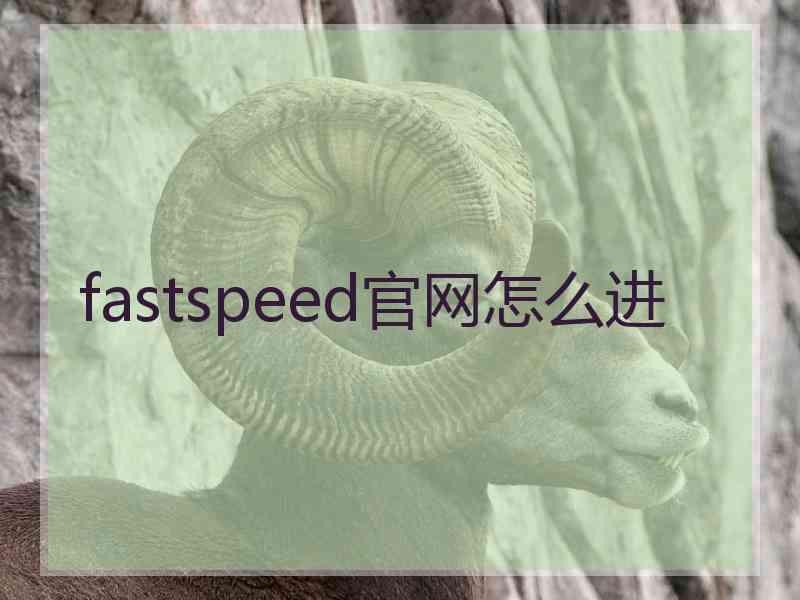 fastspeed官网怎么进