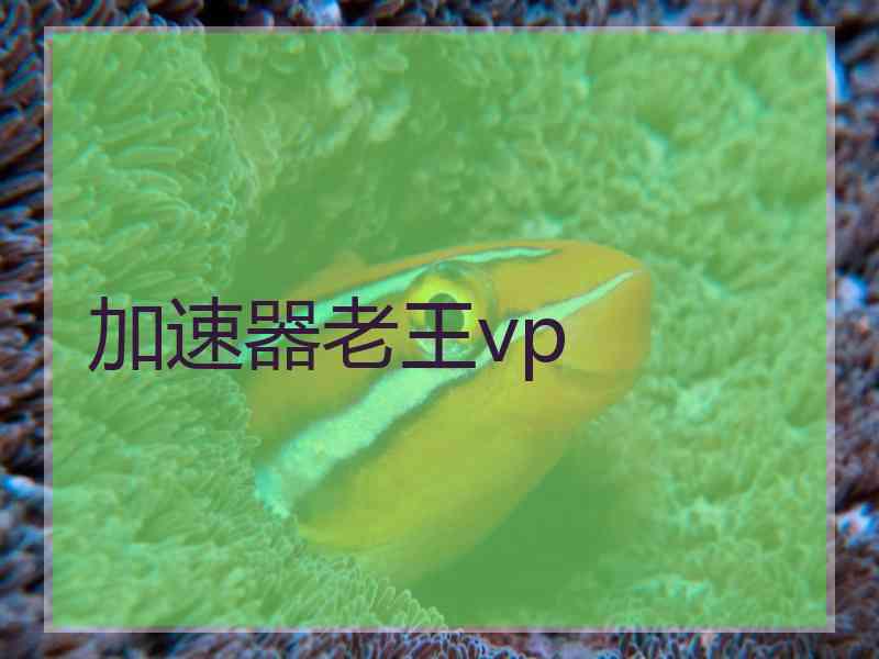 加速器老王vp