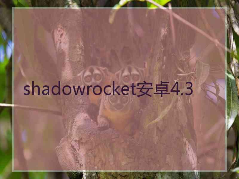 shadowrocket安卓4.3