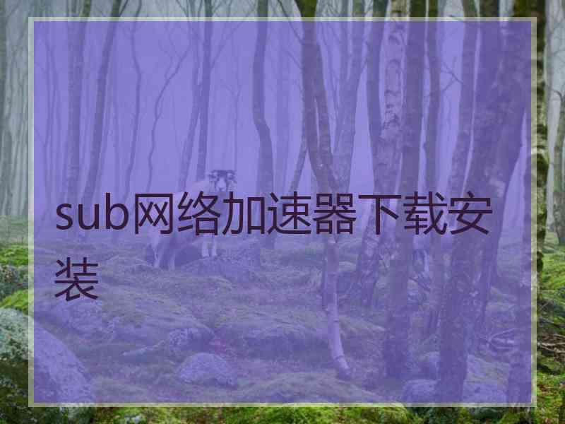 sub网络加速器下载安装