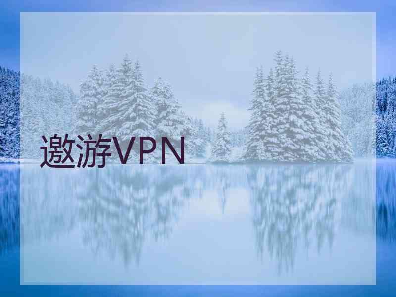 邀游VPN