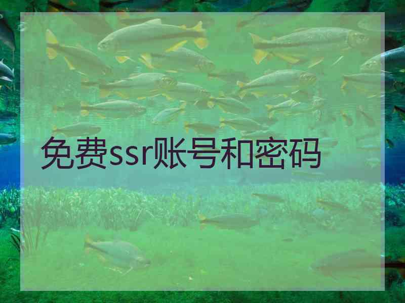 免费ssr账号和密码