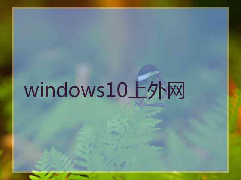 windows10上外网