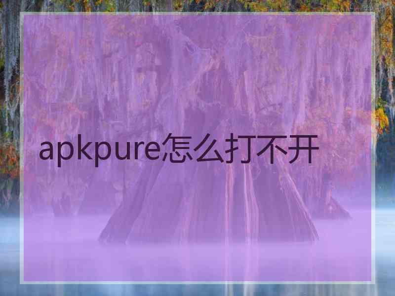 apkpure怎么打不开