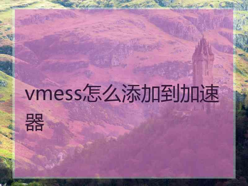 vmess怎么添加到加速器