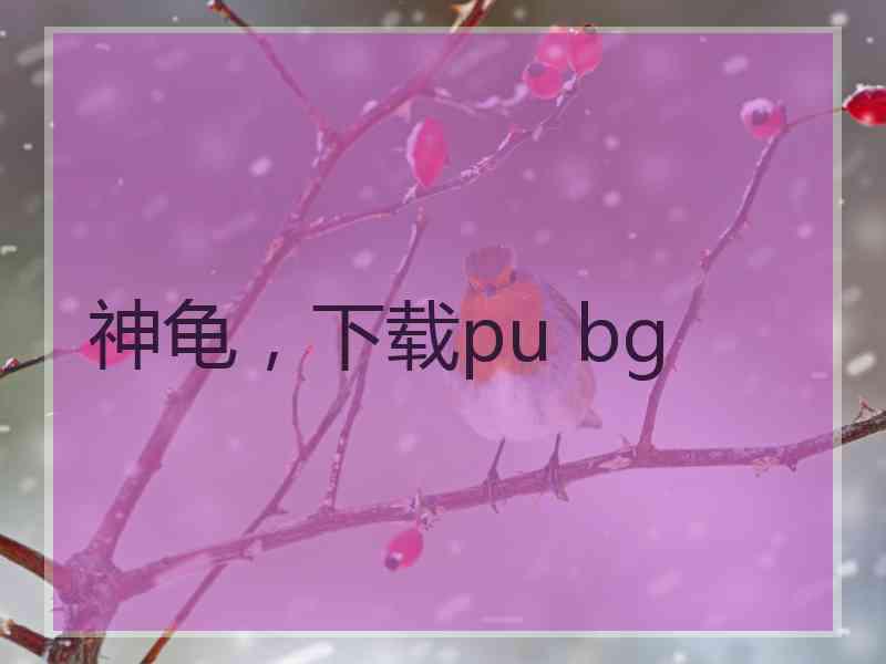 神龟，下载pu bg