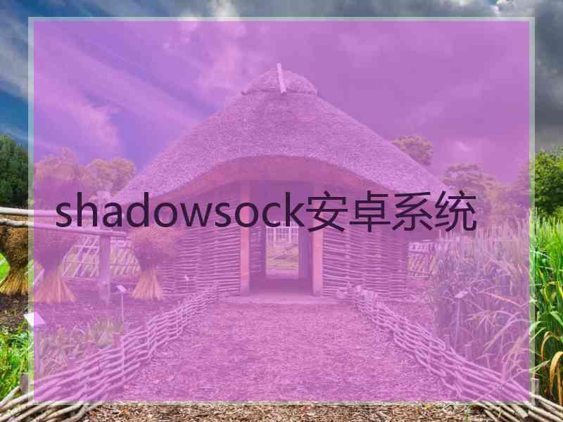 shadowsock安卓系统