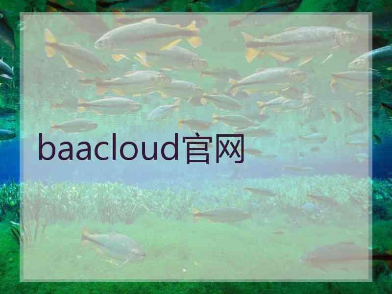 baacloud官网