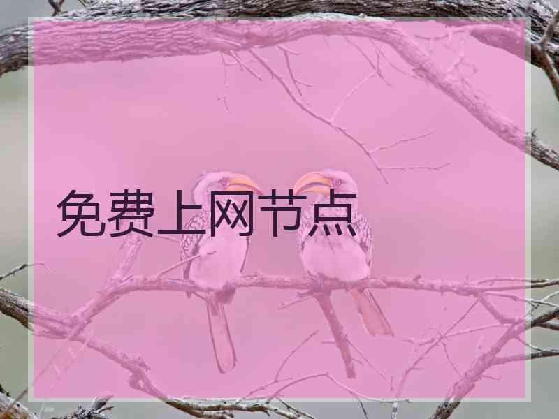 免费上网节点