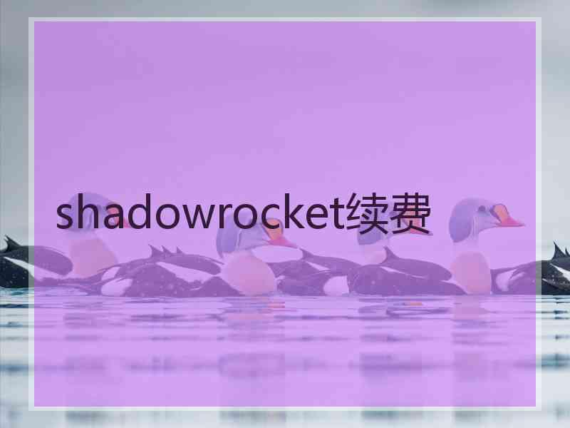 shadowrocket续费