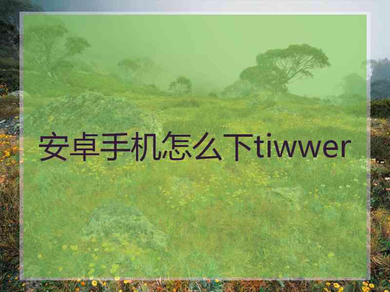 安卓手机怎么下tiwwer