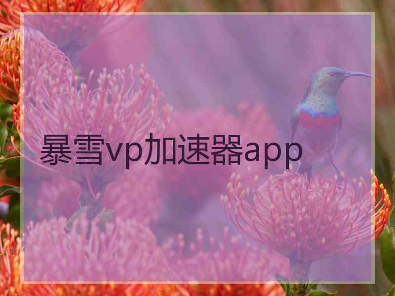 暴雪vp加速器app