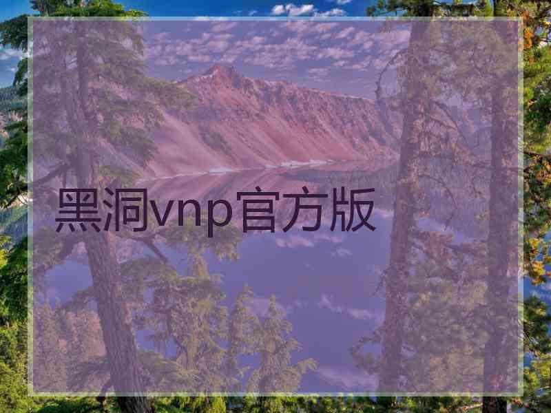 黑洞vnp官方版