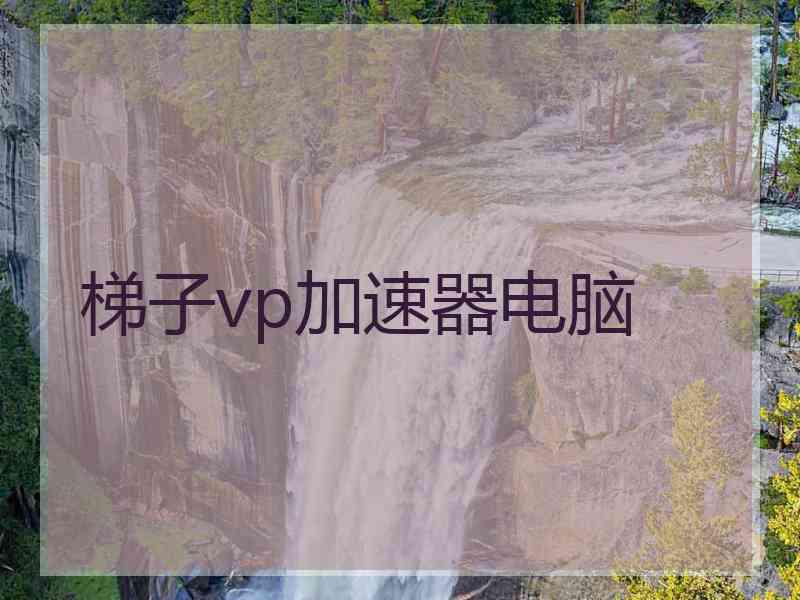 梯子vp加速器电脑