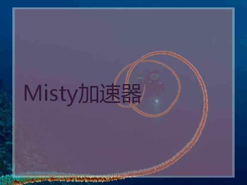 Misty加速器