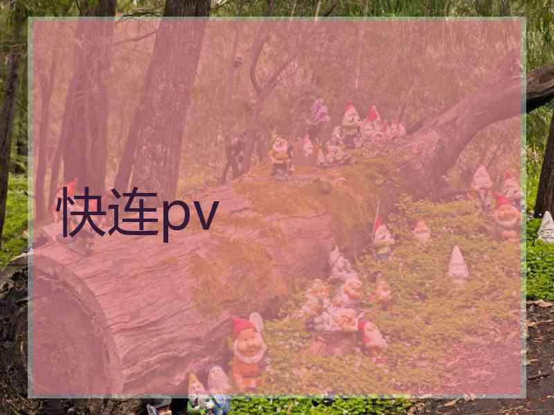 快连pv