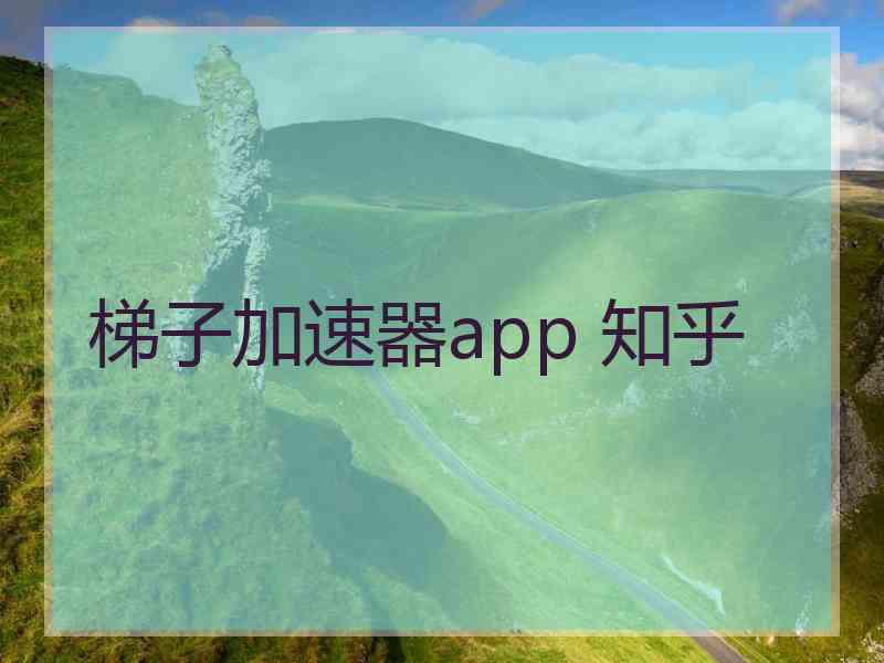 梯子加速器app 知乎