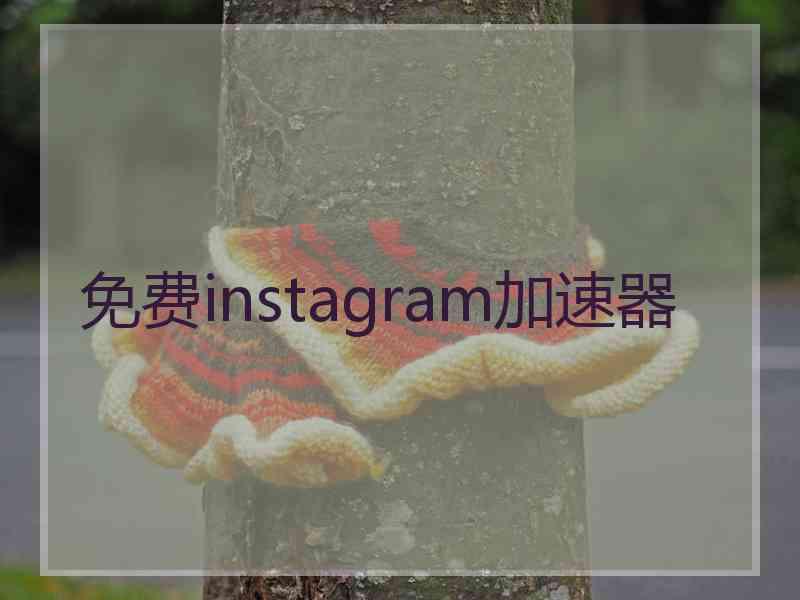 免费instagram加速器