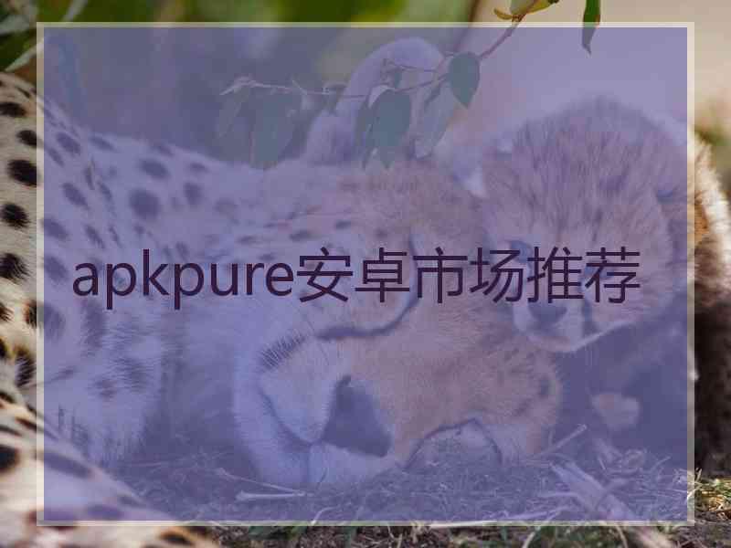 apkpure安卓市场推荐