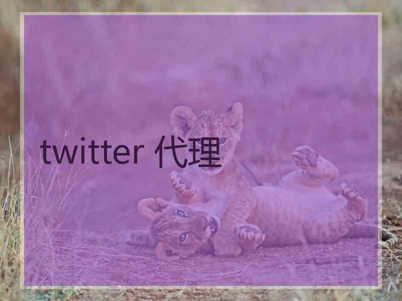 twitter 代理