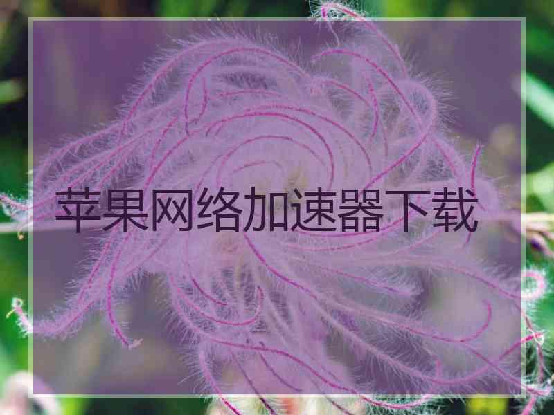 苹果网络加速器下载