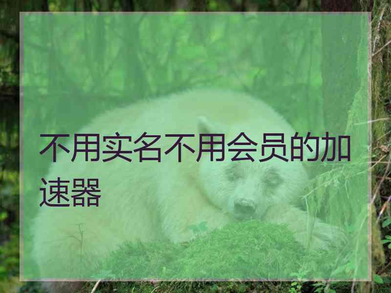 不用实名不用会员的加速器