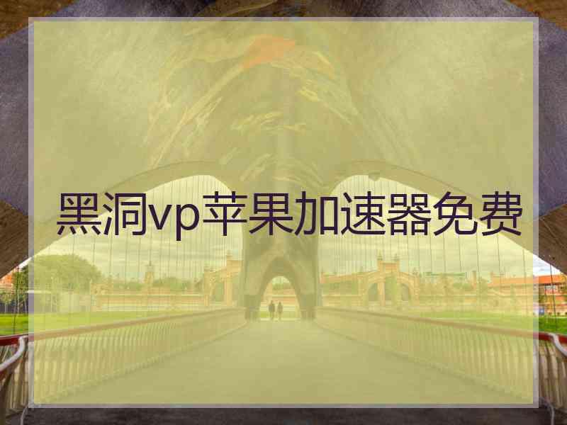 黑洞vp苹果加速器免费