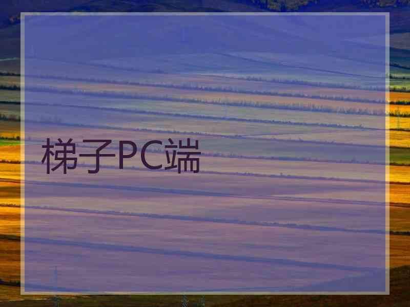 梯子PC端