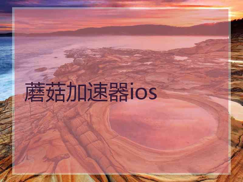 蘑菇加速器ios