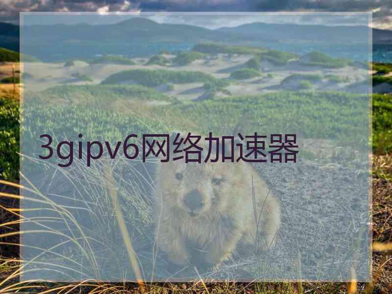 3gipv6网络加速器