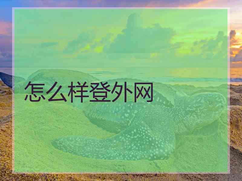 怎么样登外网