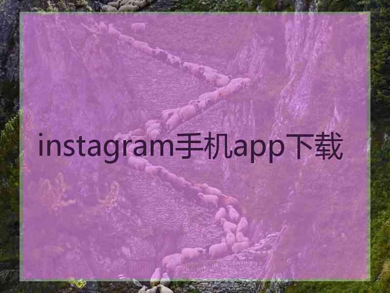 instagram手机app下载